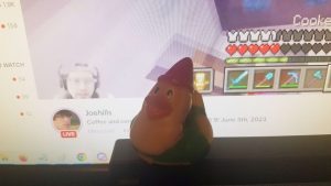 A rubber duck that looks like a garden gnome sits in front of a computer screen with Joe's stream open on it.